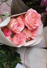 Jardín Romántico