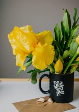 Sol de Primavera