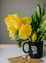 Sol de Primavera