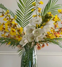 Paraíso Tropical
